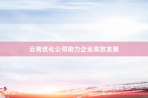 云南优化公司助力企业高效发展